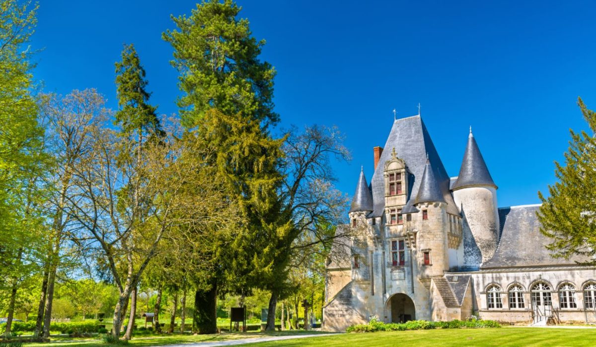 Château De Javarzay LR
