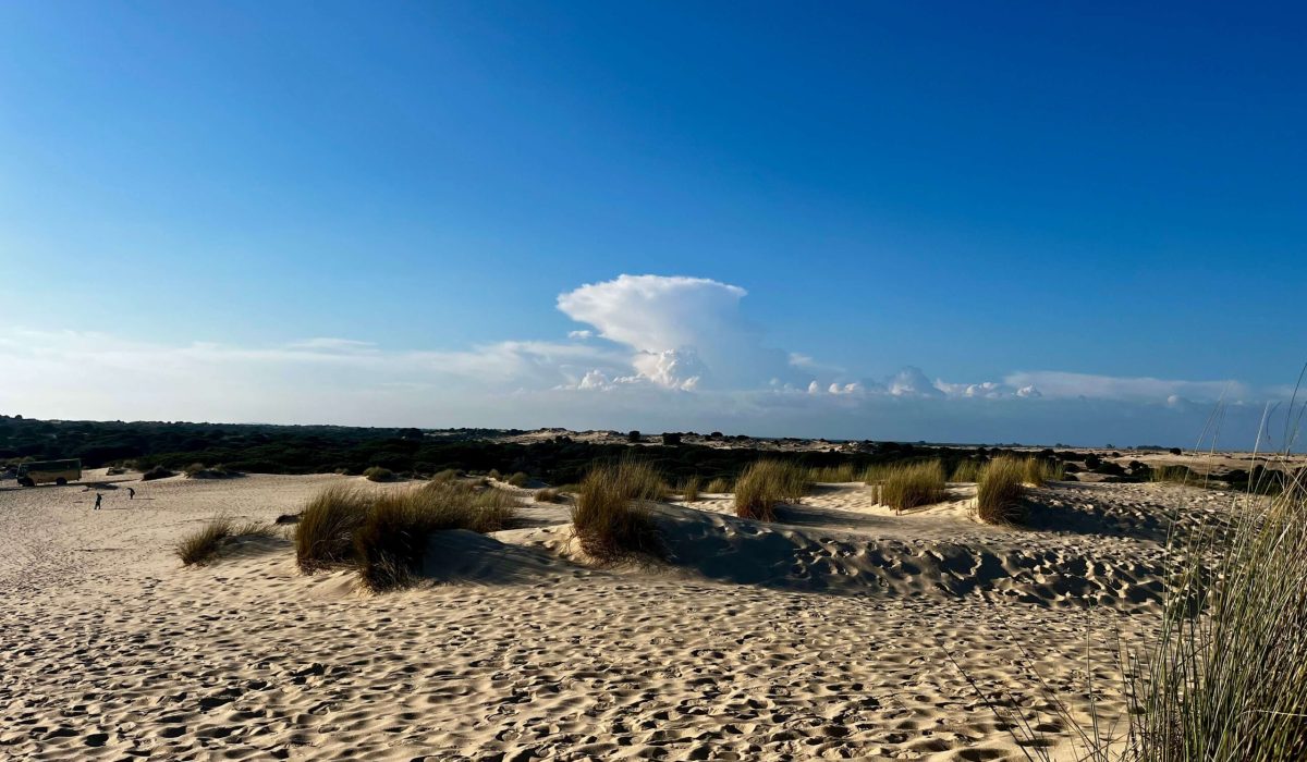 Donana National Park Costa De La Luz El Rocio Caravavans In The Sun (7)