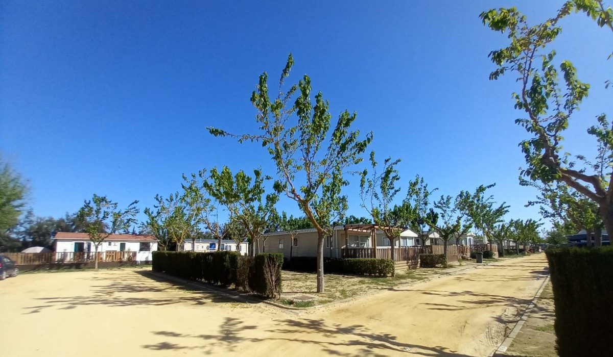 El Rocio 2022 (1)