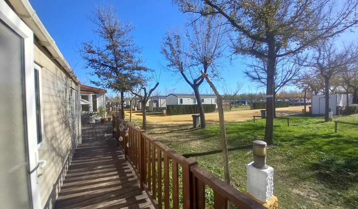El Rocio 2024 (41)