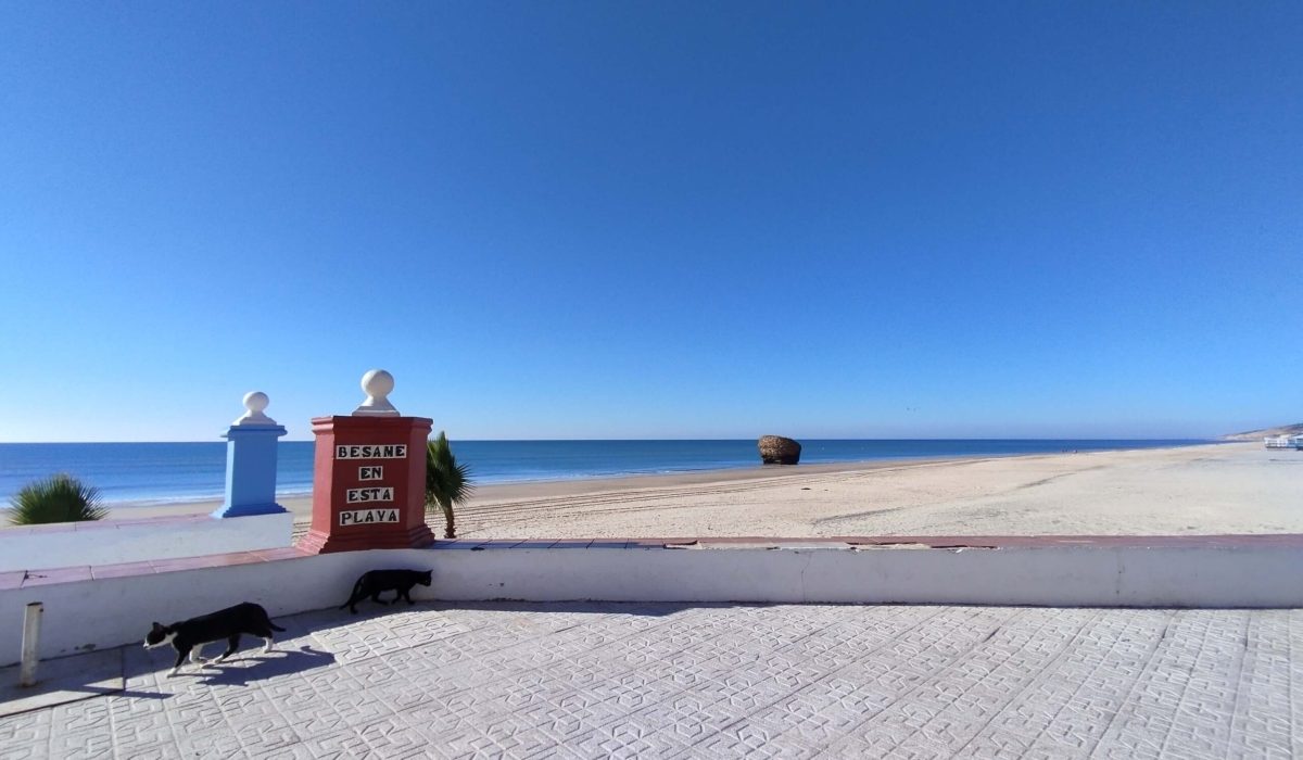 El Rocio 2024 (63)