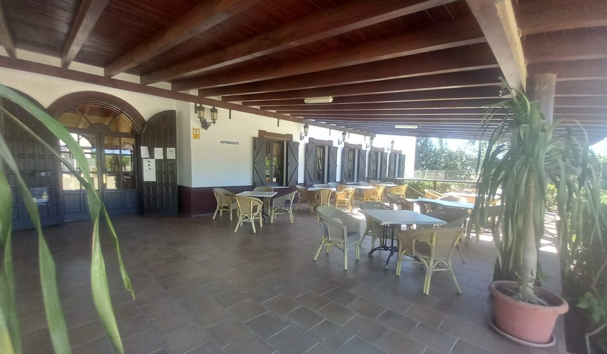 El Rocio 2024 (80)