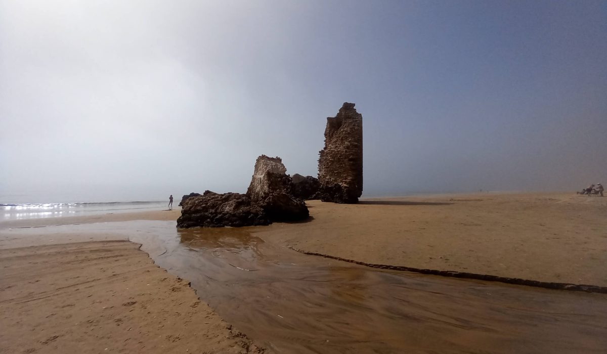 El Rocio 2024 (86)