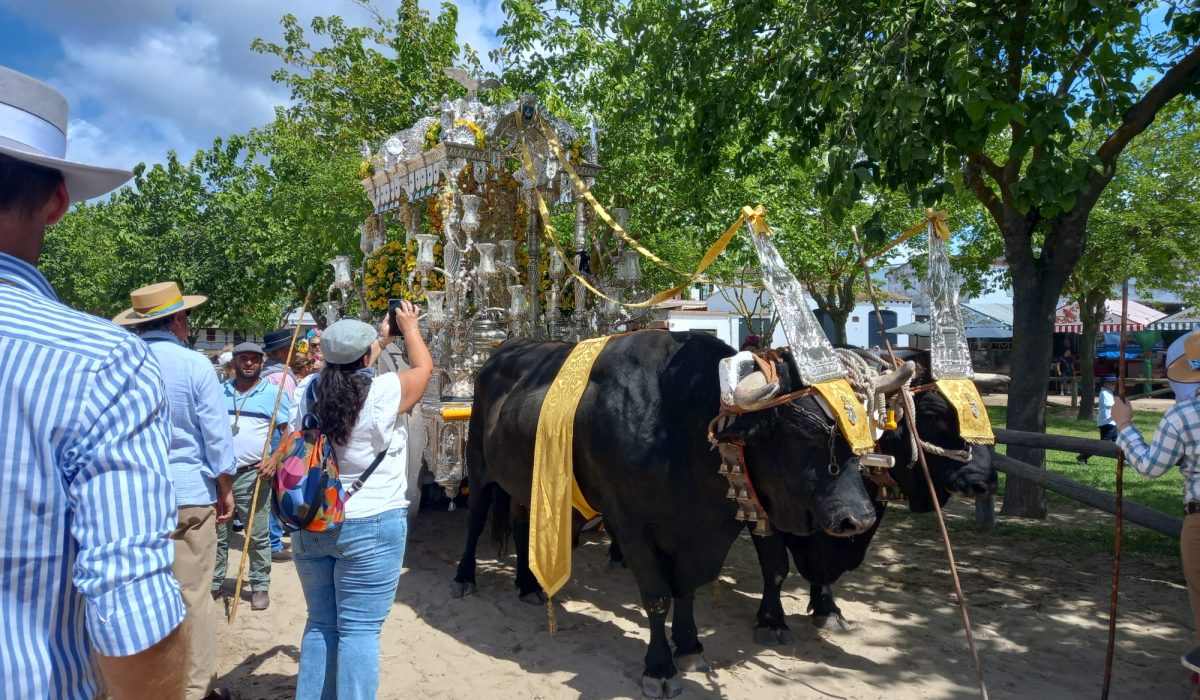 El Rocio Festival (14)