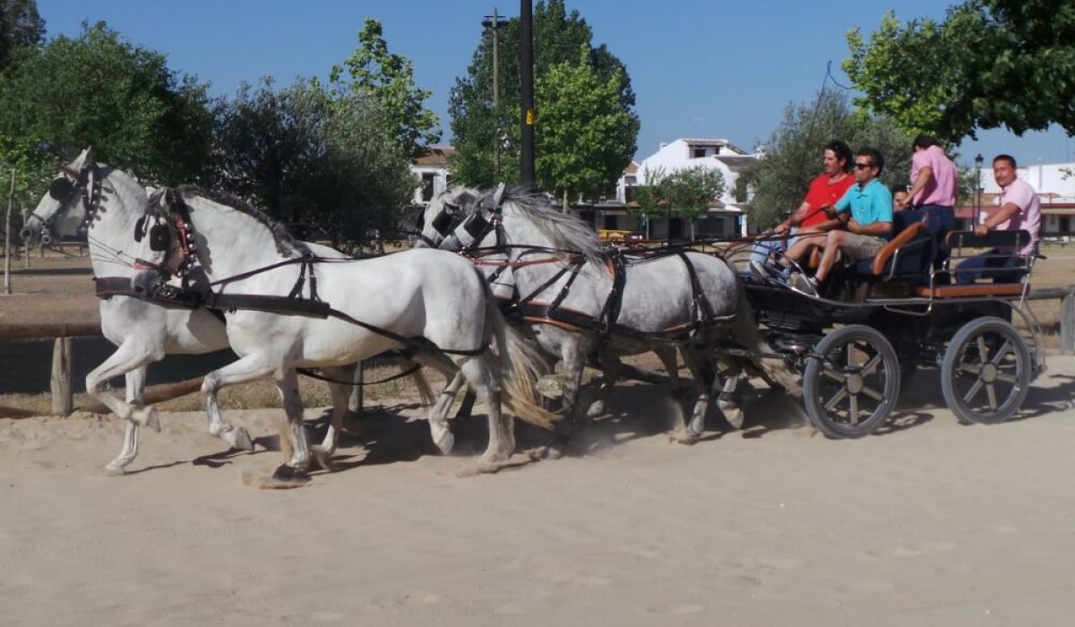 Mobile home park in El Rocio, Spain near Matalascañas