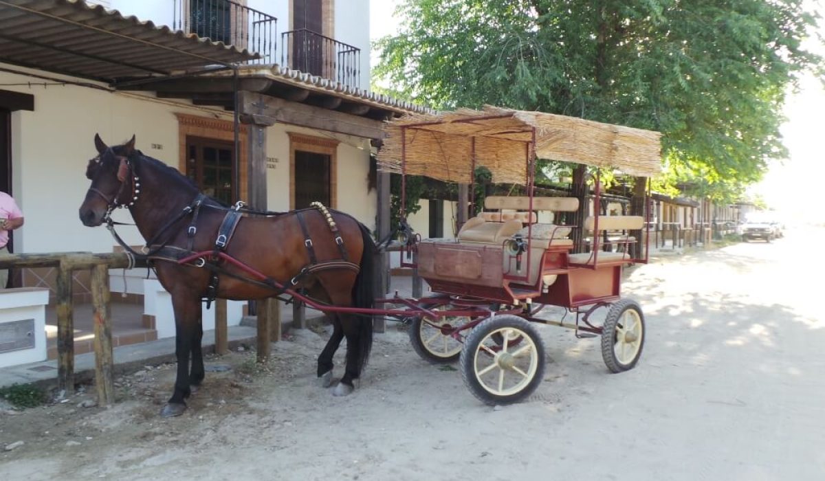 Mobile home park in El Rocio, Spain near Matalascañas