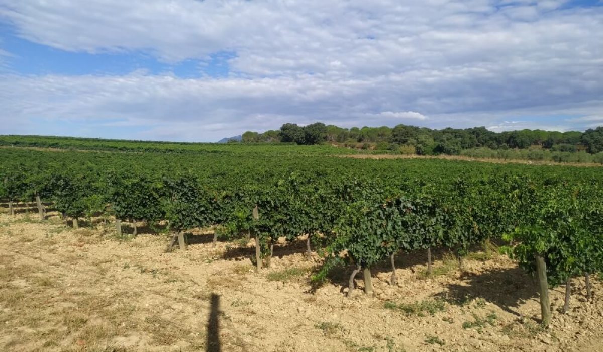 Figueres (33)