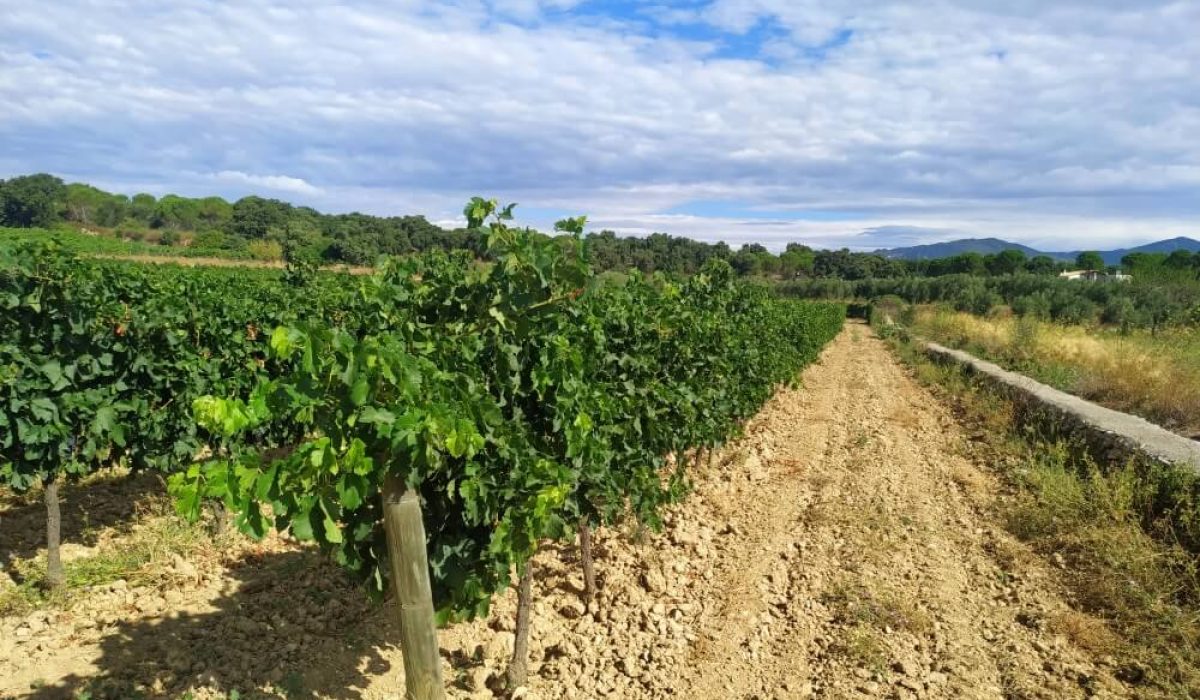 Figueres (36)