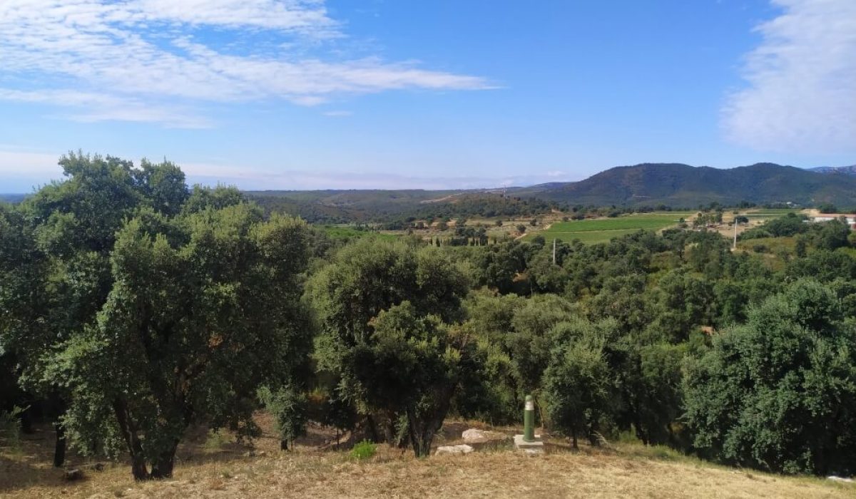 Figueres (58)
