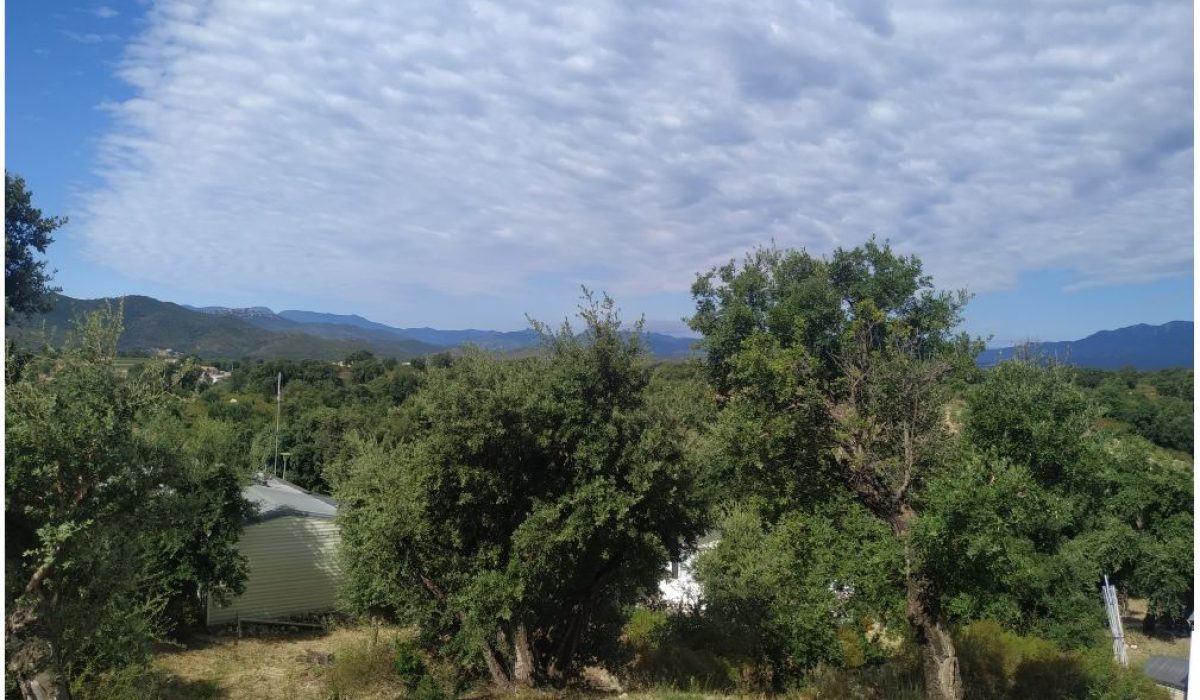 Figueres (59)