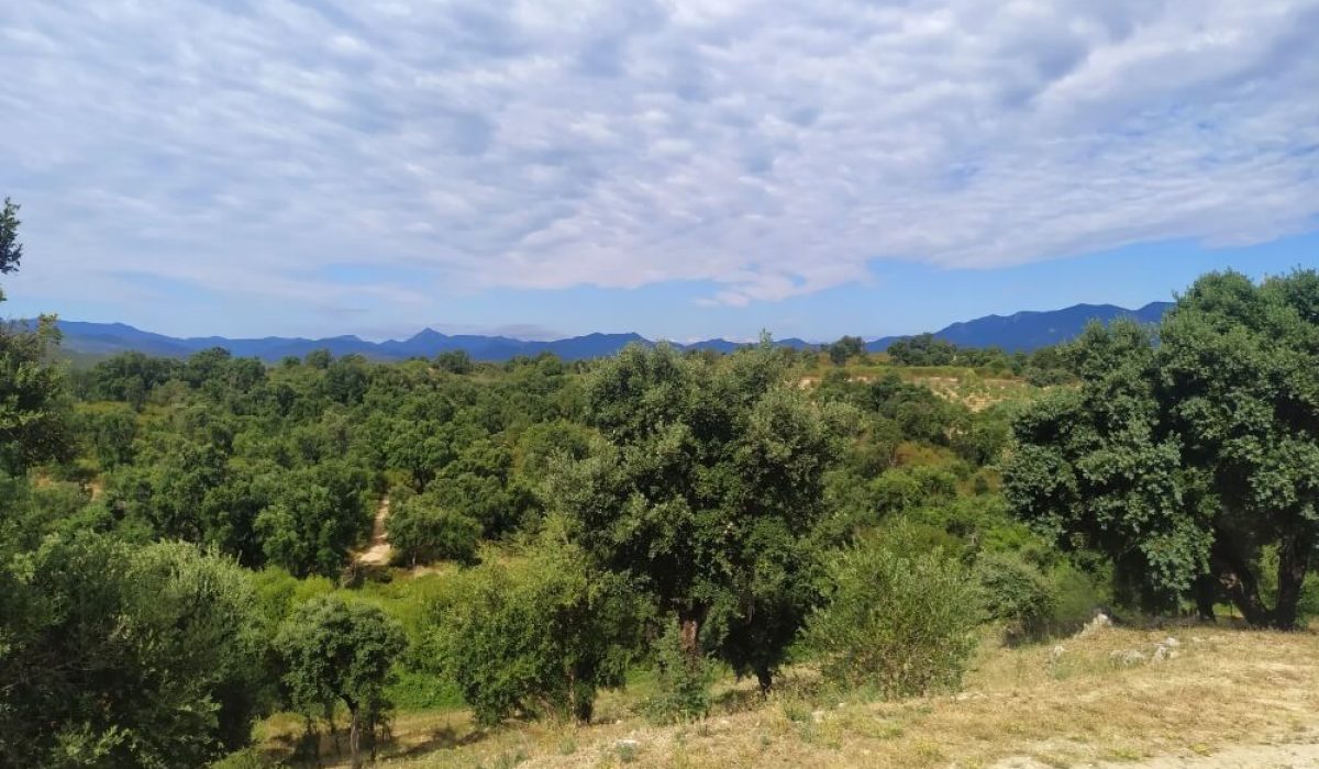 Figueres (69)