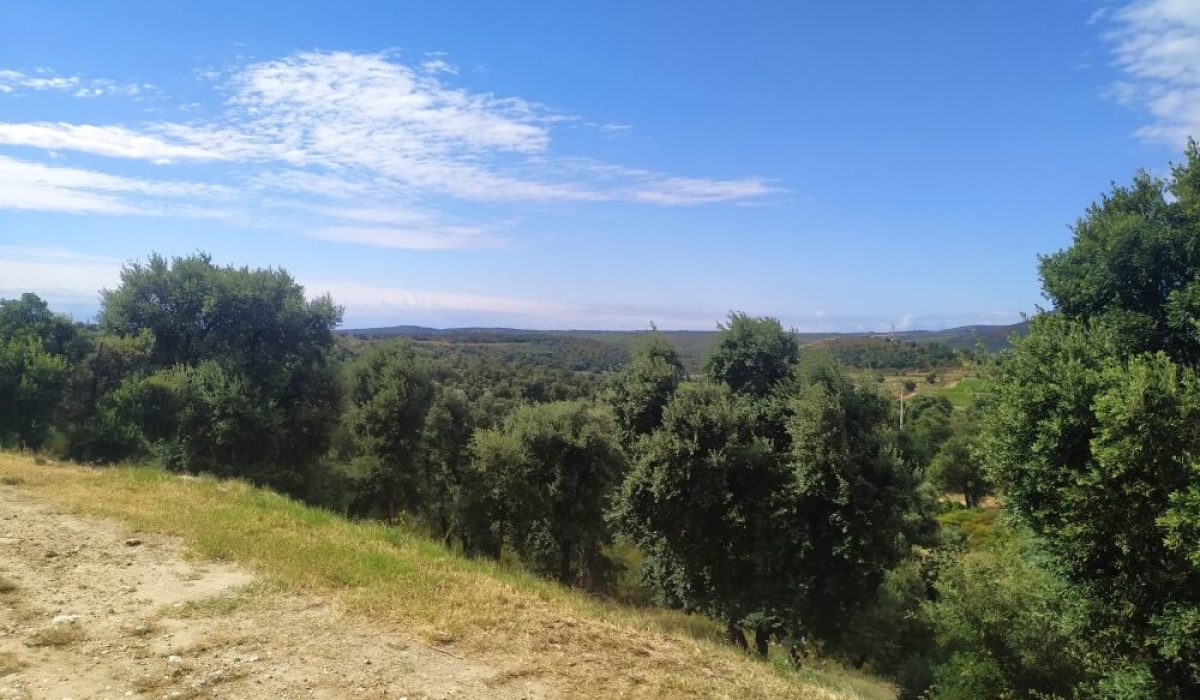 Figueres (70)