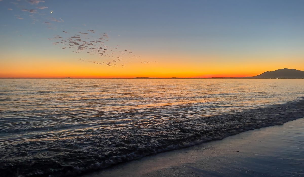 Marbella 6