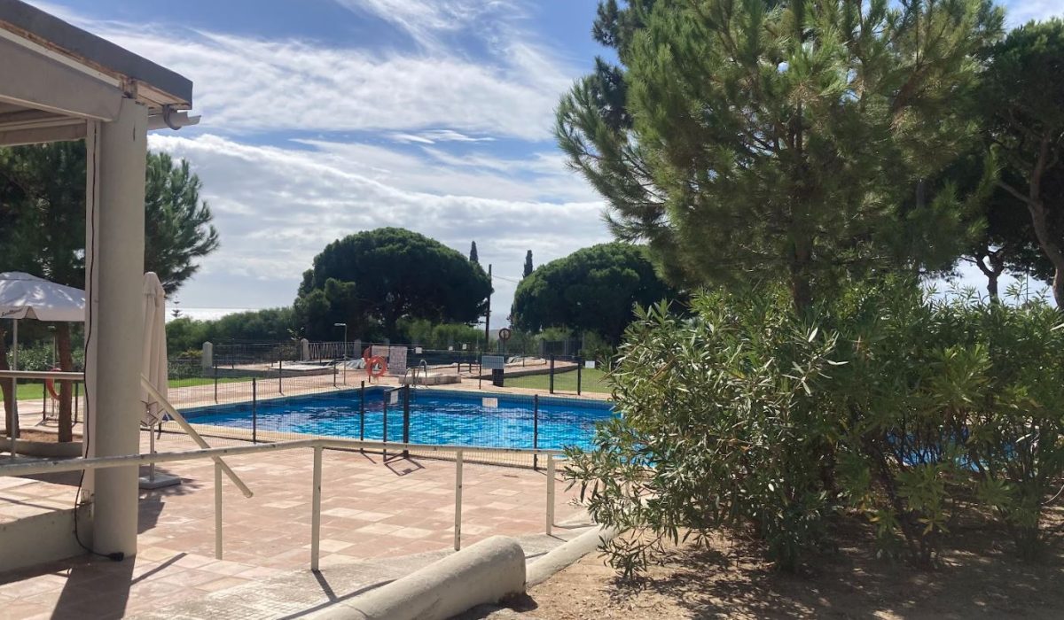 Marbella Costa Del Sol Spain Park Images (18)