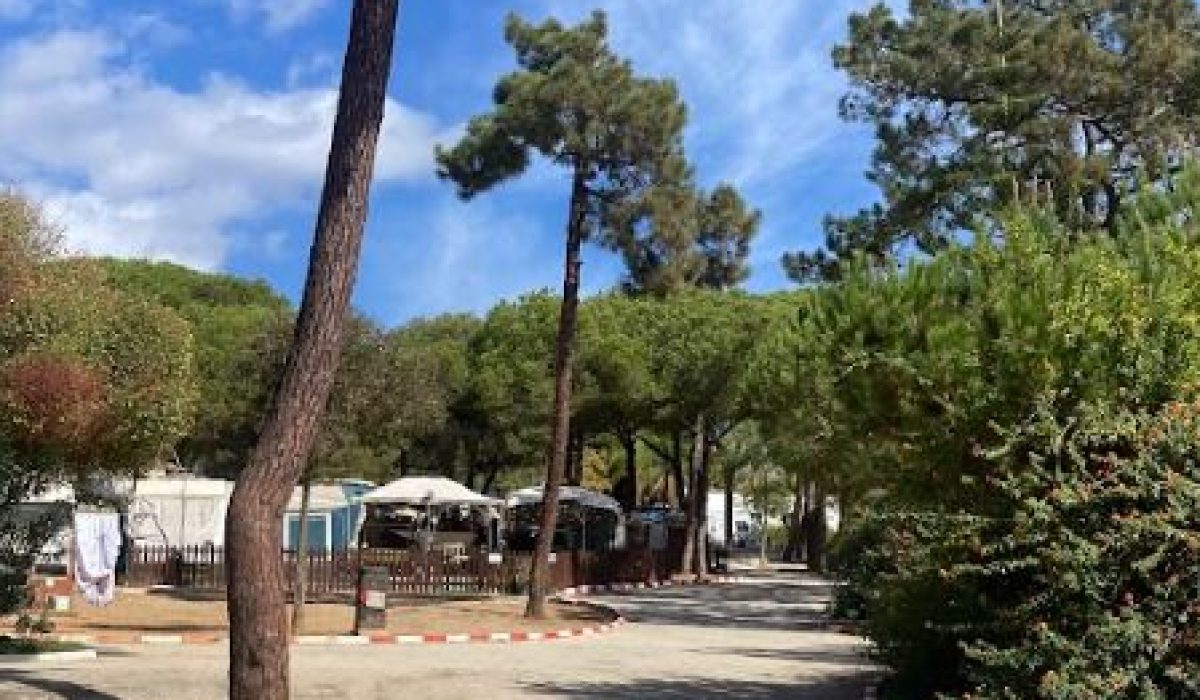 Marbella Costa Del Sol Spain Park Images (19)
