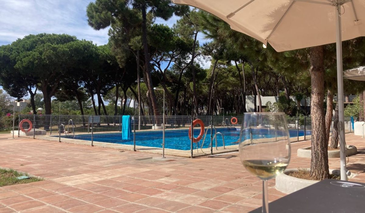 Marbella Costa Del Sol Spain Park Images (22)