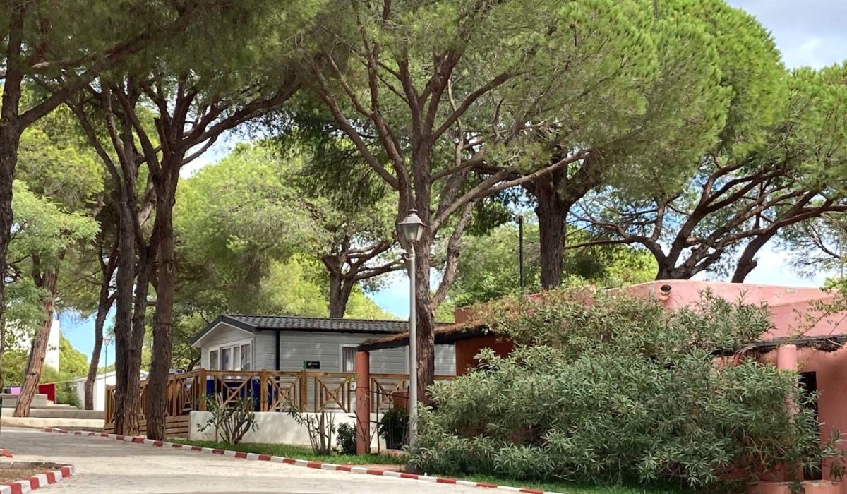 Marbella Costa Del Sol Spain Park Images (3)