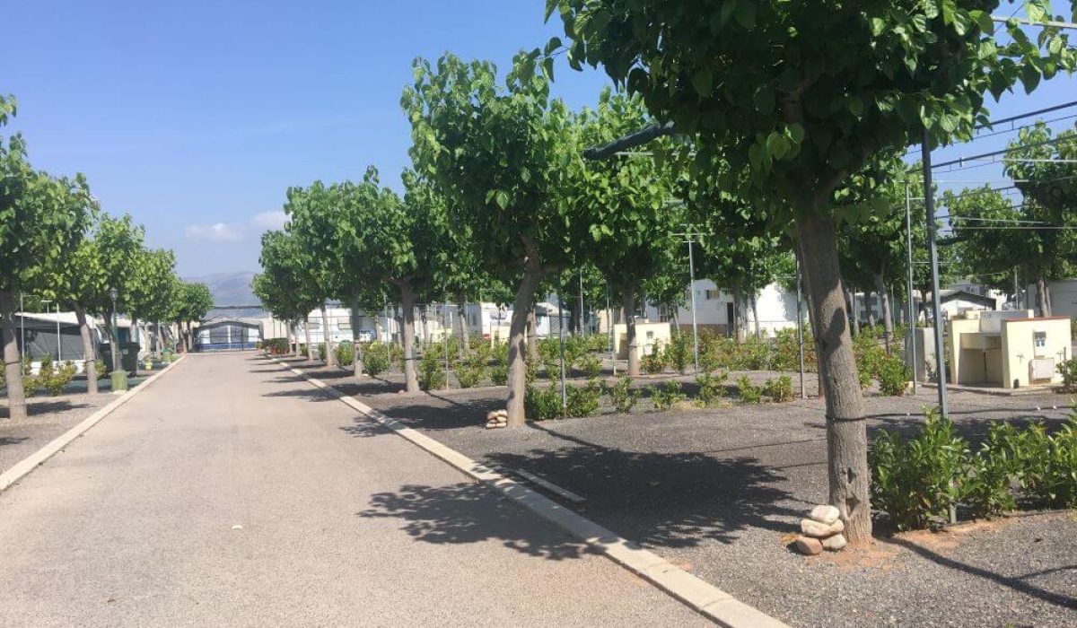 Nules Monmar (25)
