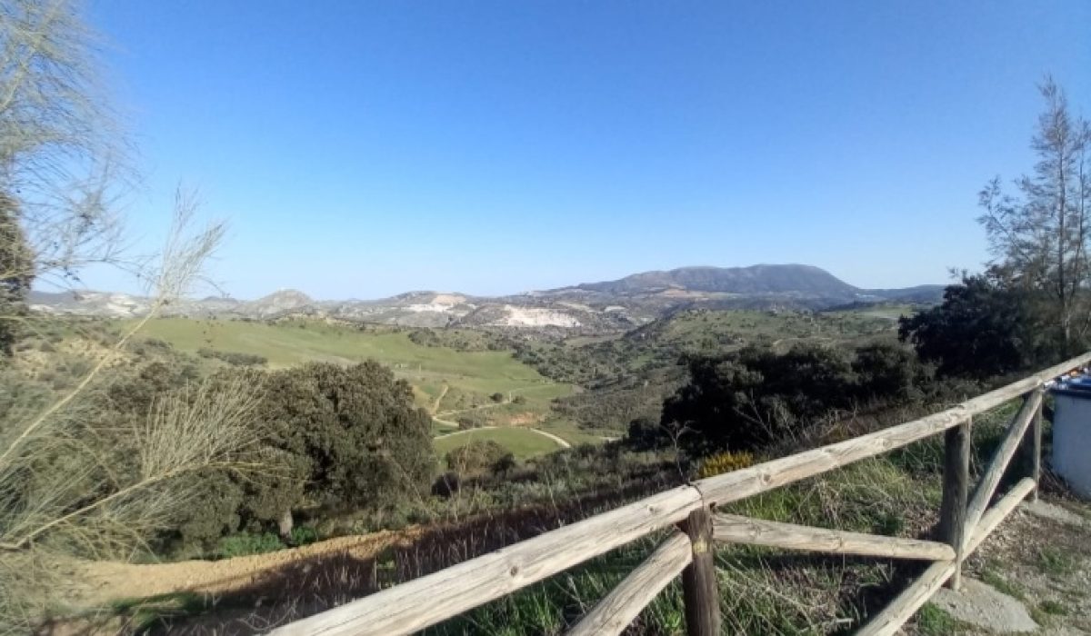 Olvera (11)