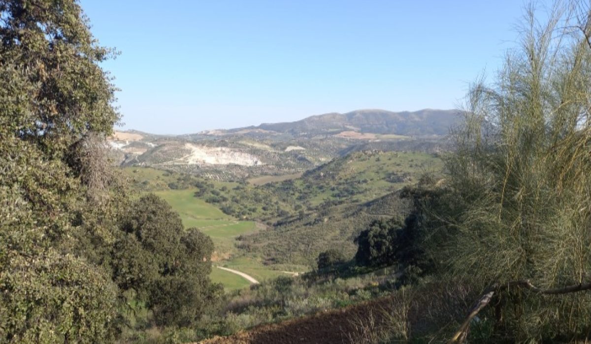 Olvera (12)