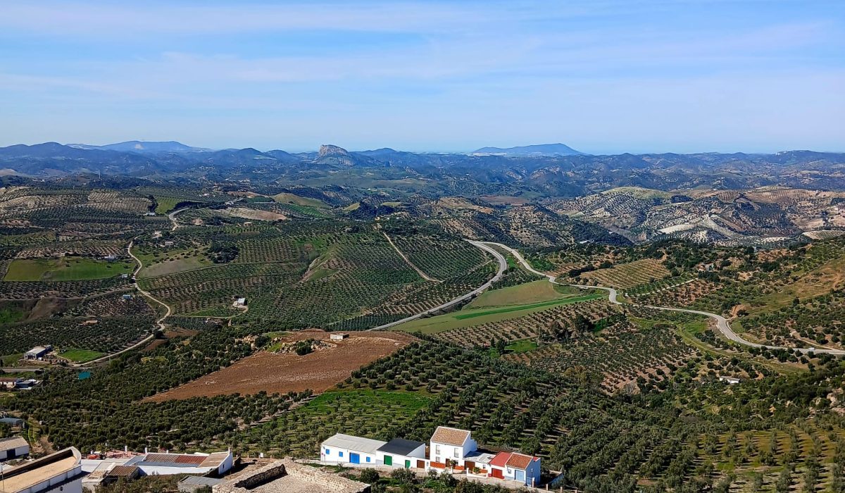 Olvera (19)