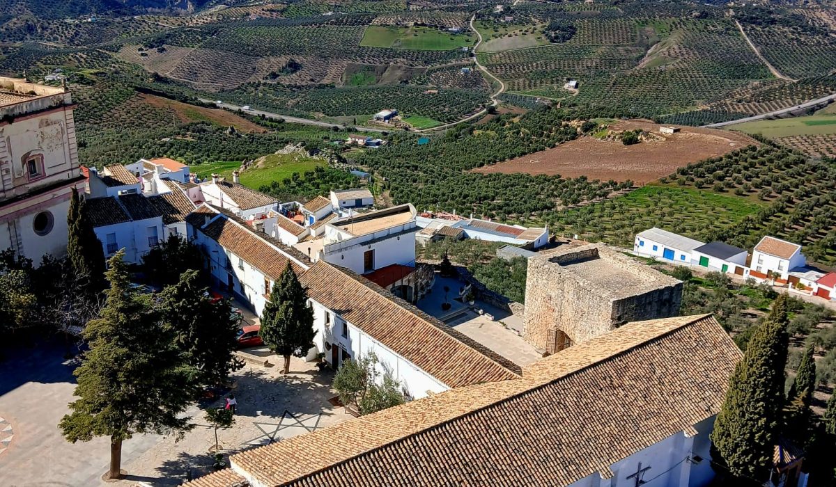 Olvera (20)