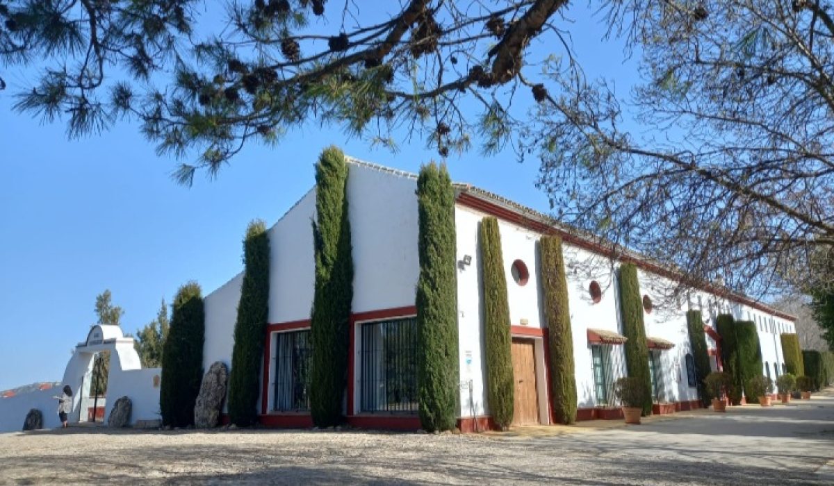Olvera (21)
