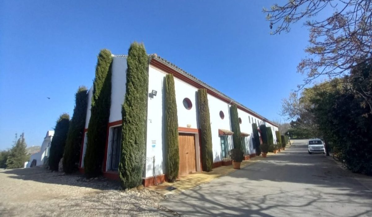 Olvera (22)