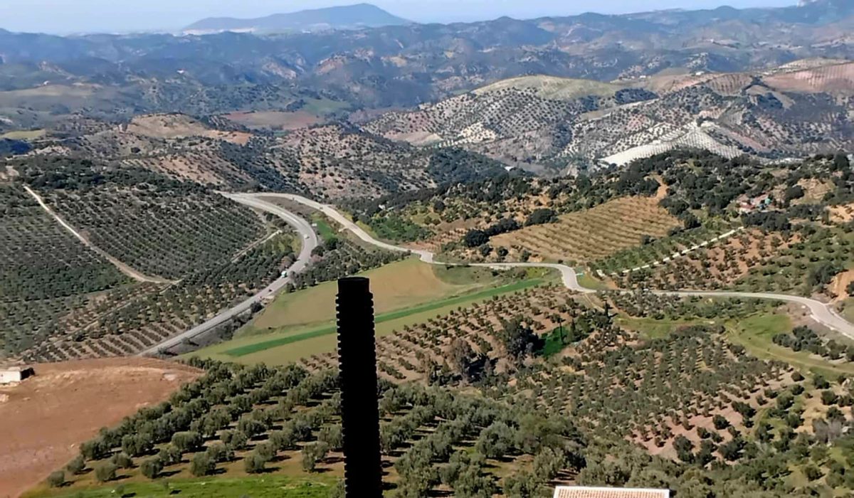 Olvera (25)