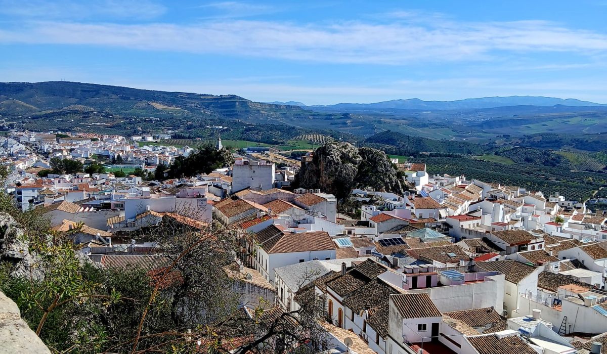 Olvera (26)