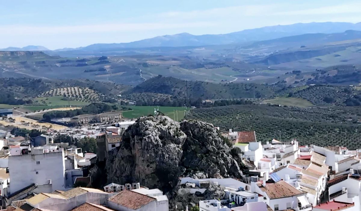Olvera (28)