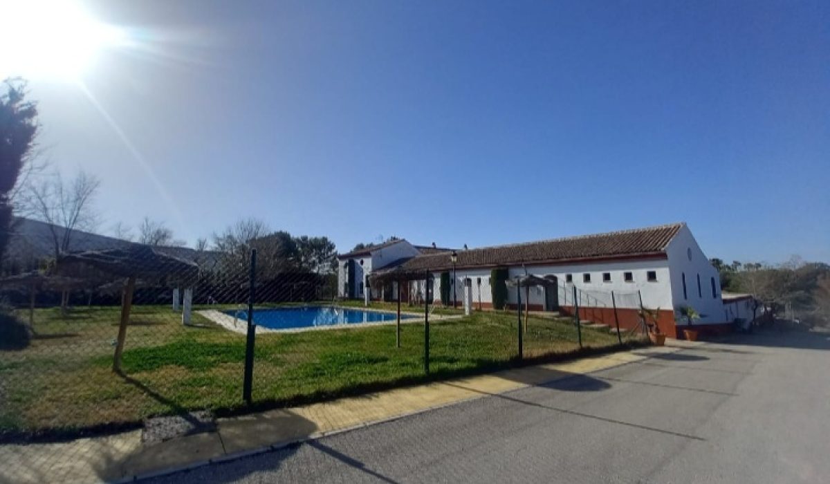 Olvera (30)