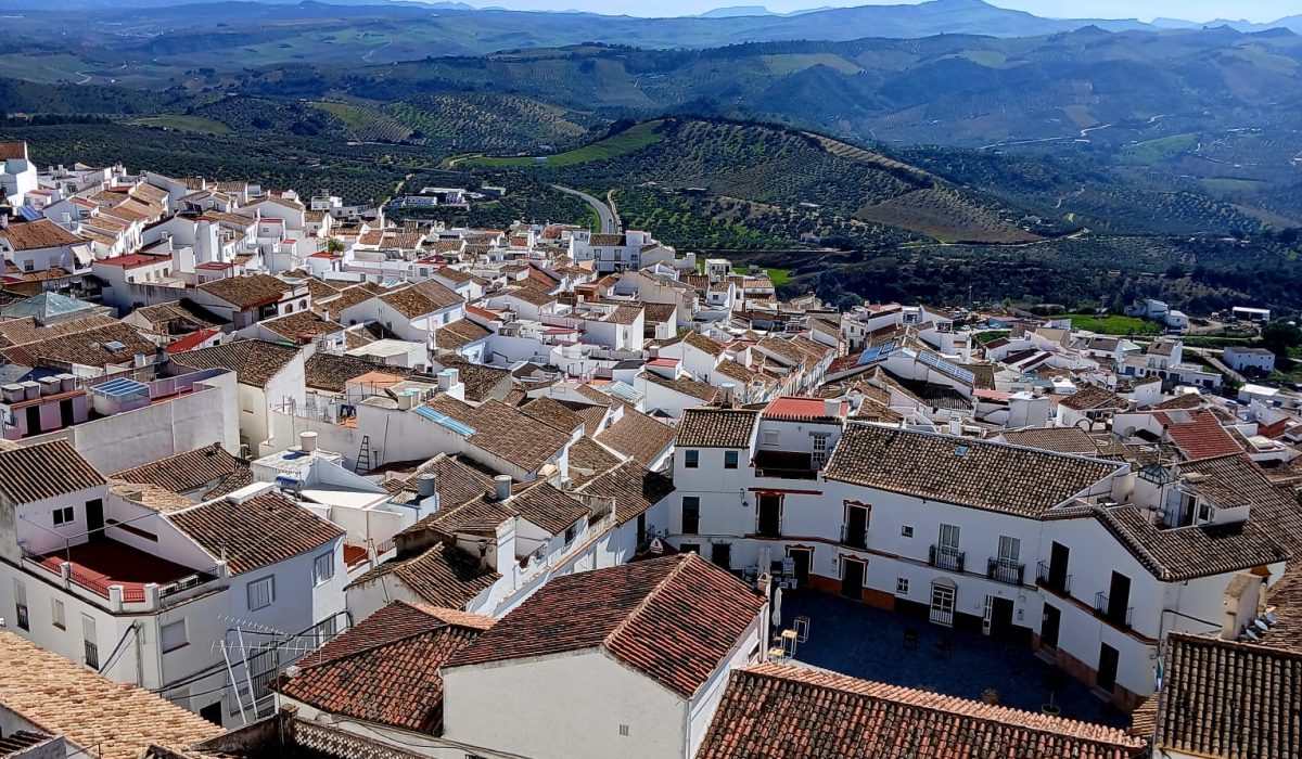 Olvera (33)