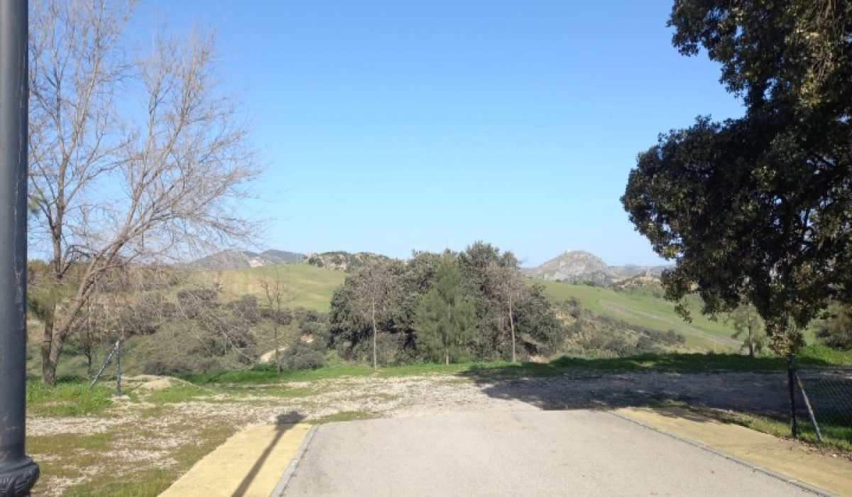 Olvera (4)
