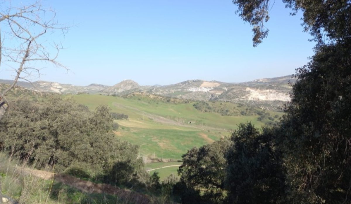 Olvera (6)