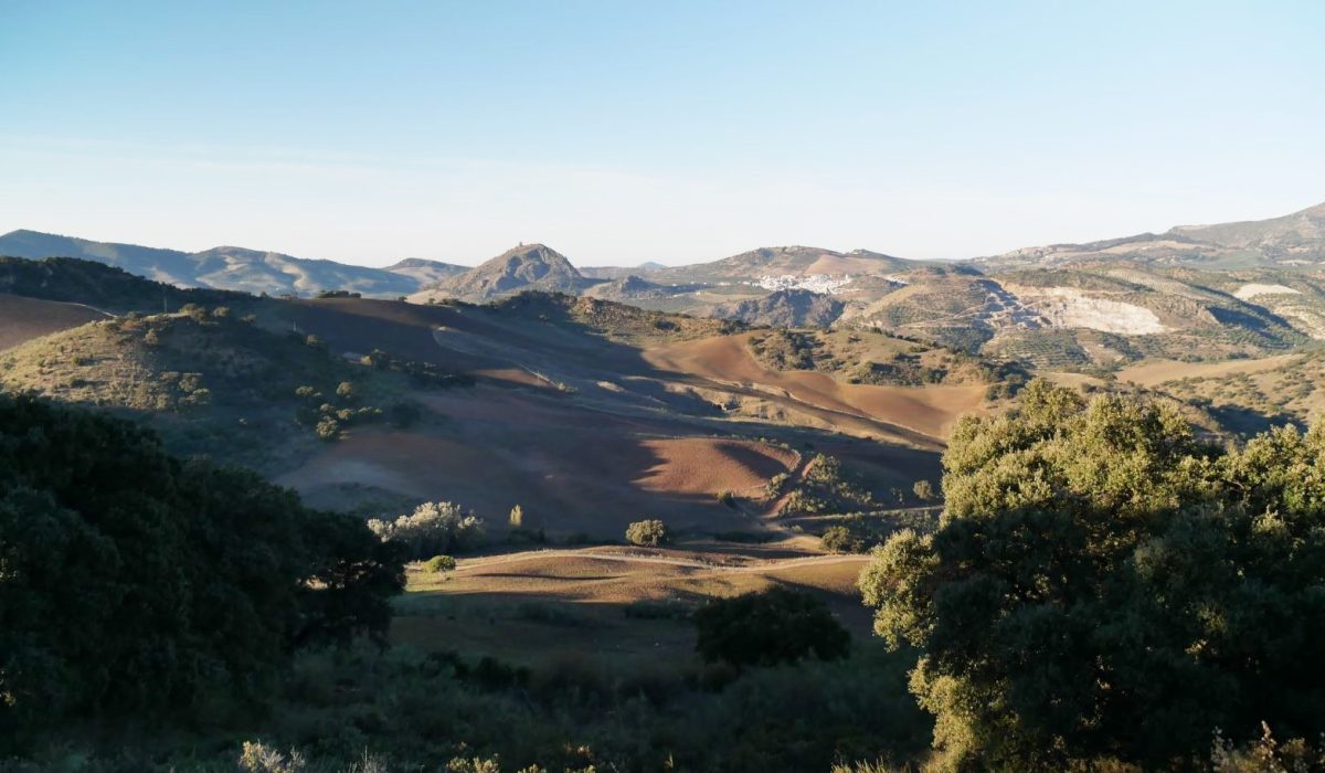 Olvera Costa De La Luz Spain (10)