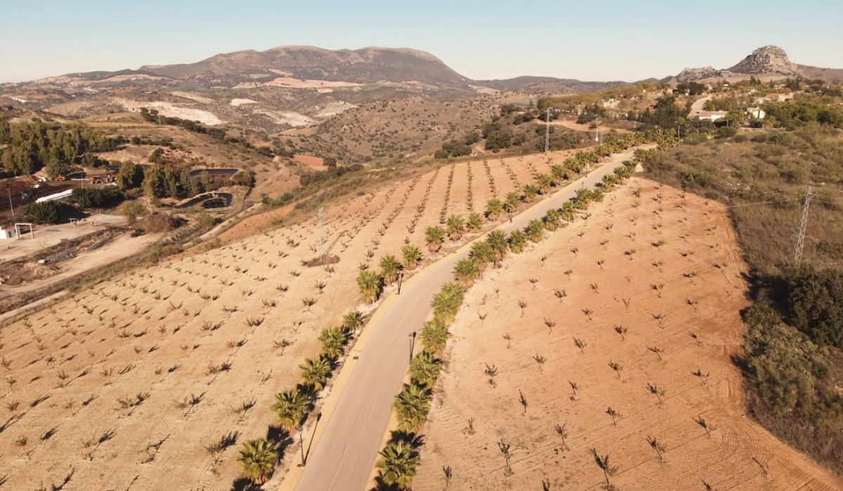 Olvera Costa De La Luz Spain (12)