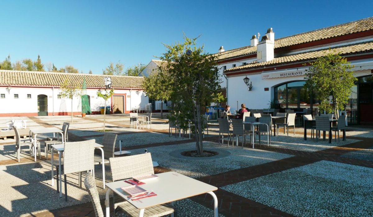 Olvera Costa De La Luz Spain (20)