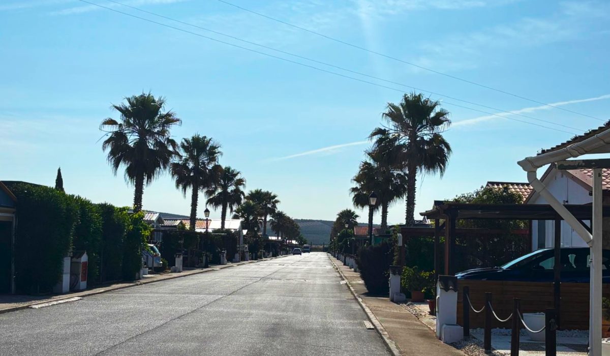 Saydo Park (11)