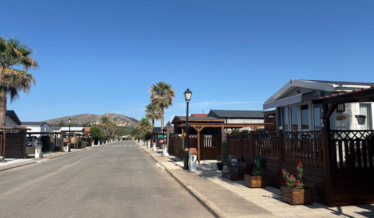 Saydo Park (12)