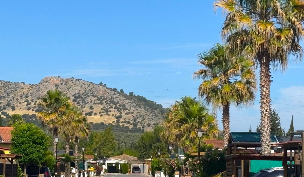 Saydo Park (15)
