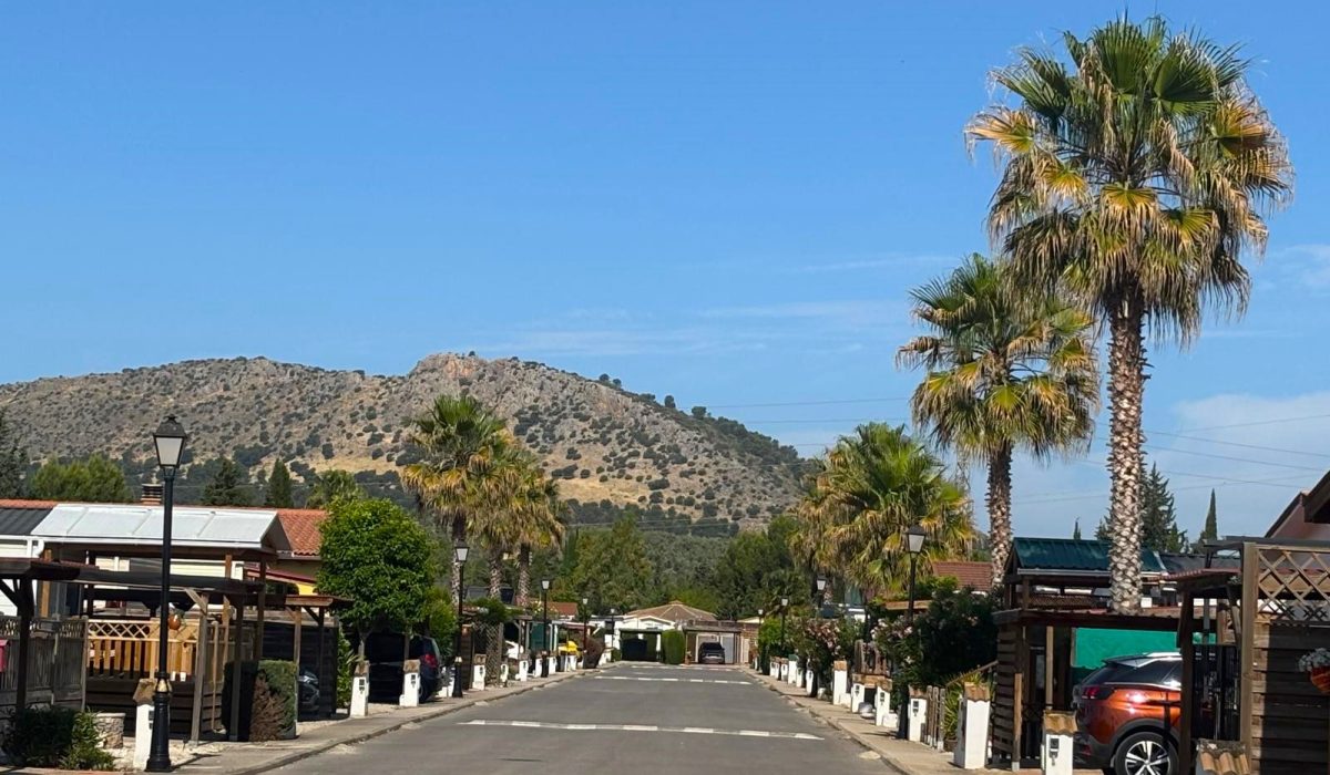 Saydo Park (16)