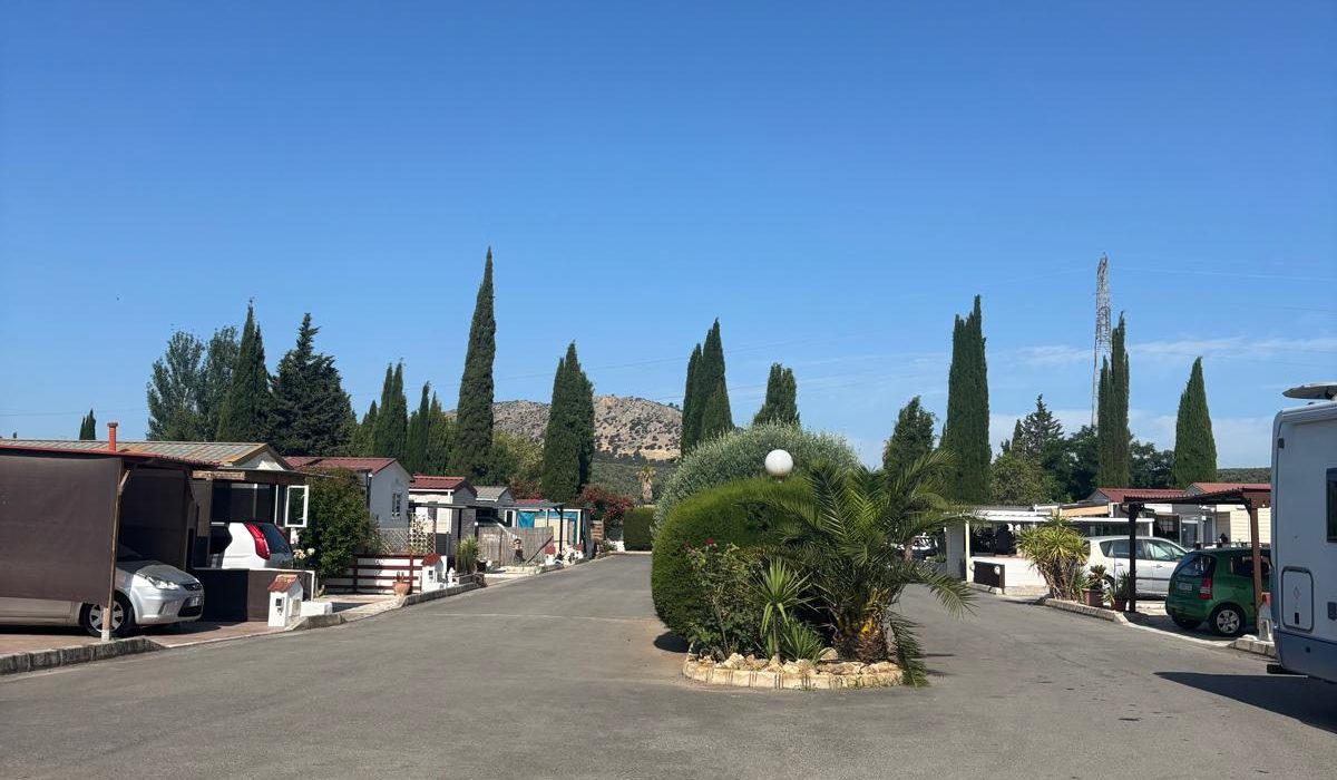 Saydo Park (17)