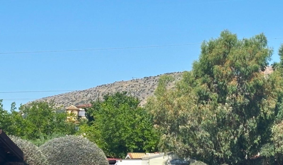 Saydo Park (19)