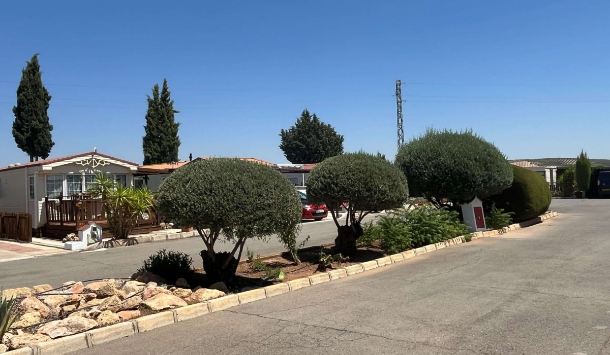 Saydo Park 2024 (100)