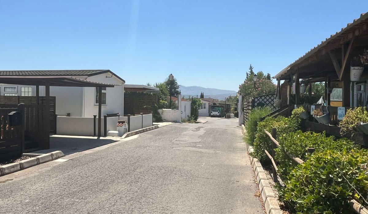 Saydo Park 2024 (102)