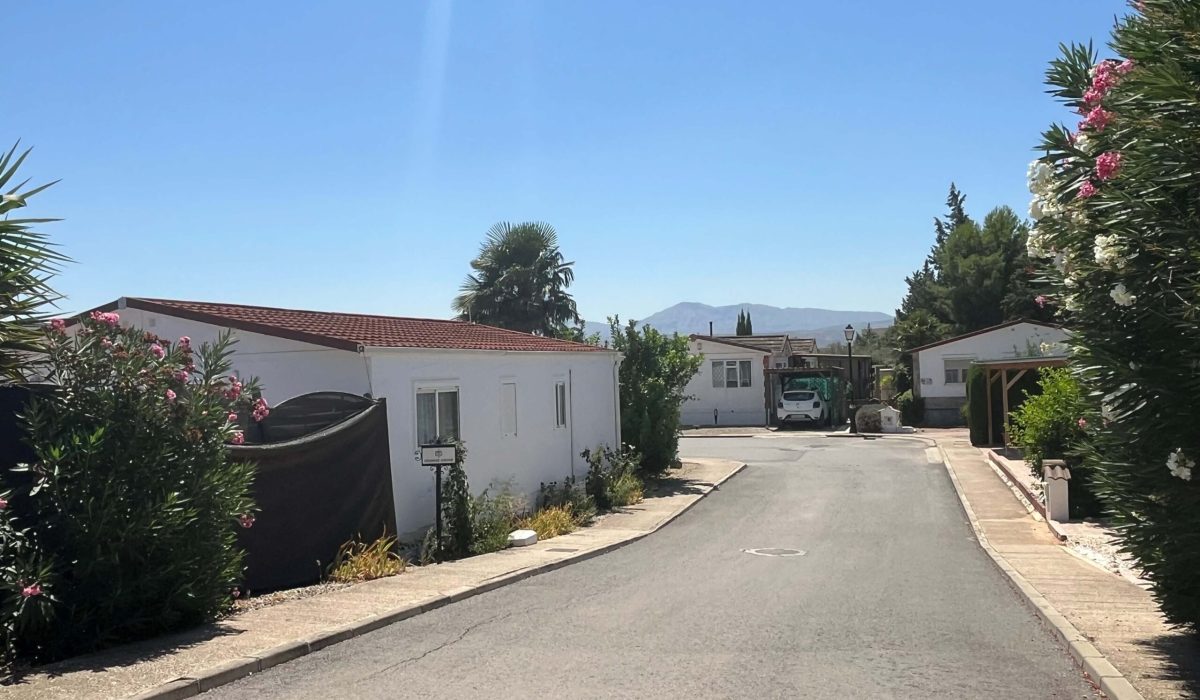 Saydo Park 2024 (103)
