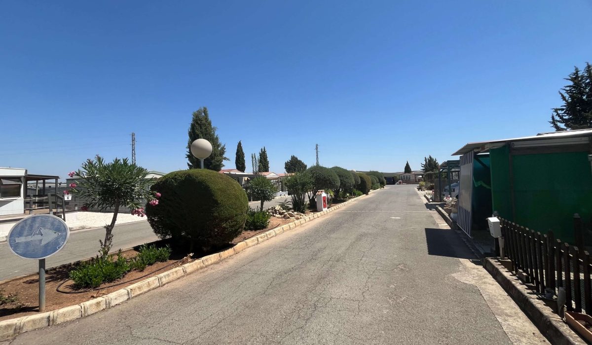 Saydo Park 2024 (108)