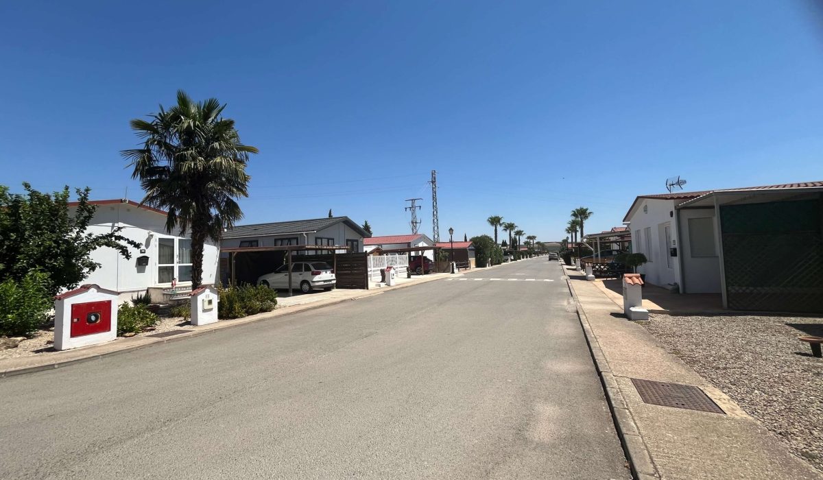Saydo Park 2024 (115)