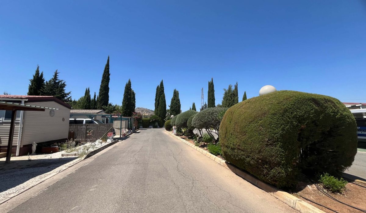 Saydo Park 2024 (119)